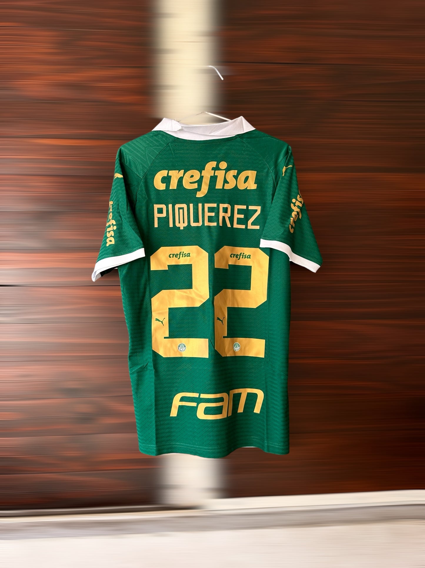 PALMEIRAS 24/25